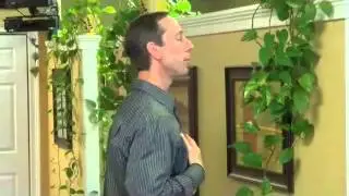 Neck Pain Fix -Posture