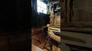Altonaer Museum