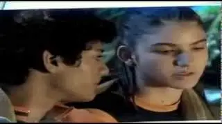 Mosca e Mili - Amizade