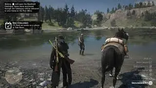 Red Dead Redemption 2 Online: Misunderstanding?