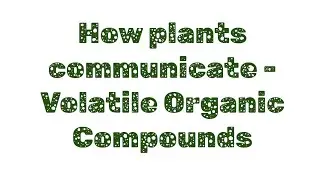 How plants communicate - Volatile Organic Compounds 