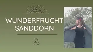 Sanddorn bei Autoimmunkrankheiten wie Neurodermitis & Co