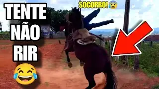 TENTE NÃO RIR: OS MELHORES MEMES DA INTERNET #videosengracados #tentenaorir #humor #comedia #memes