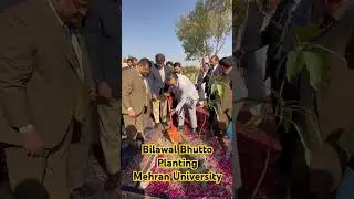 Bilawal bhutto Planting In mehran University #university #planting #plant #bilawalbhuto #ppp
