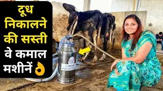 दूध निकालने की सस्ती वे कमाल मशीन 📞 9053399055 MDM Milking Machine for cow Buffalo in india