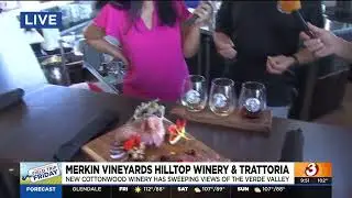 Merkin Vineyards has 7 acres offering sweeping views of Verde Valley