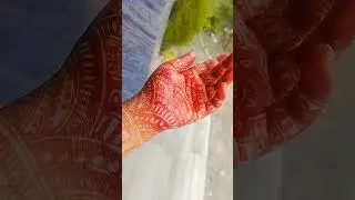 Es bat ka gvah h shorts#viral#new#trending#show#ShraddhaRai-9559hamar#shorts#viral