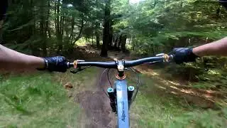 grizedale forest lemon zest full run off piste mtb