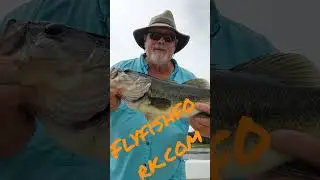 Best flies for Lake Fork bass. Lake Fork Fly Fishing. Fly Fish Fork. flyfishfork.com Frog patterns.