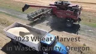 2023 Wheat Harvest  - Wasco County - Part 1