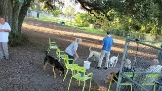 Judd Park Dog Audit
