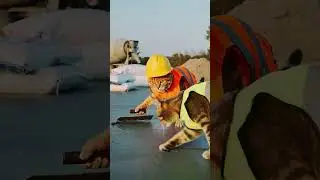 Cat Workers Fight at Construction Site 🐱⚠️ | AI Animals