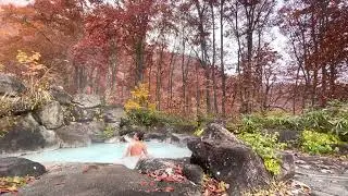 Beautiful Onsen♨️(hot spring)in Autumn 🍂 🇯🇵 #Japanonsen #温泉 #燕温泉 #黄金の湯 #妙高 #新潟 #niigata #myoko