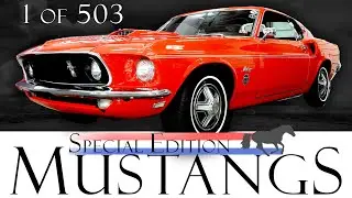 The 69 Mustang 600 | A Rare Limited Edition Mustang You've Probably Never Heard Of
