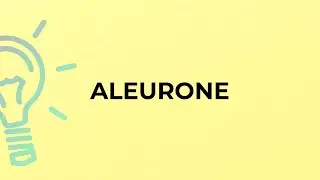 What is the meaning of the word ALEURONE?