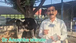 #pet animals#winter care#awareness#information#Dr Anushka shinde Hiware ,Ngoan! 