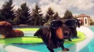 Saturday Saturday - Exclusive Doggy Version