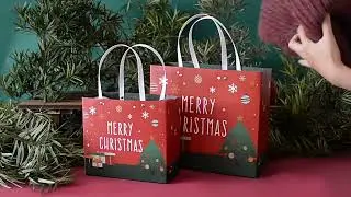 DIY Christmas Style Paper Bags - Custom size and brand logo printing