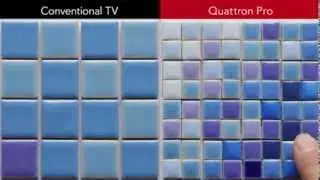 Quattron Pro 