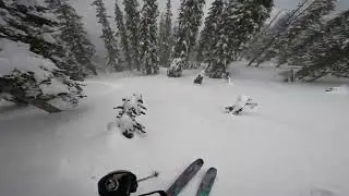 Big Red Cats - Pluto North 9 (1-10-26)