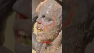 A human has physically become an Alien! #alien #aliens #funny #funnyvideo #alienonearth #funyalien