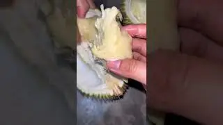 #durian #fyp #buah