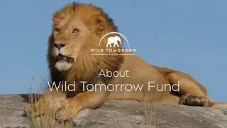 About Wild Tomorrow Fund