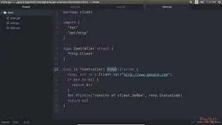 Begin Soln in Go–The Basic, Client & Server:Initialize, Store & Pass http.Client struct|packtpub.com