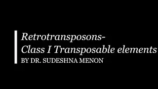 Retrotransposons Class I Transposable Elements