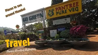 PanTree on Mumbai Goa highway