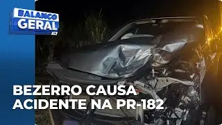 Bezerro invade pista, é atingido por um carro e arremessado contra uma ambulância na PR-182