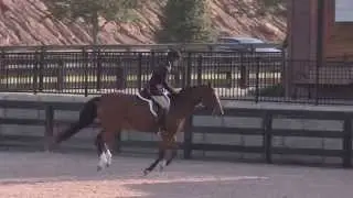 Calissi Clinches Baby Green Hunter Championship at Tryon Fall 4 with Impeccable Round over Fences