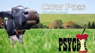 Cow Pies 61 functional assessment Why You Poop