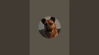 Elfi H. &uuml;bertr&auml;gt einen Livestream.