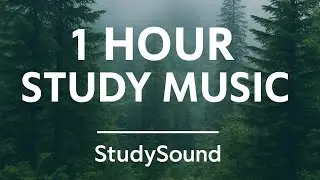 1‑Hour Nature Lofi to Study & Focus &ndash; Calming Forest Ambience | StudySound