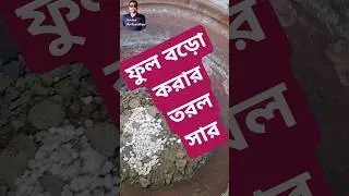 winter flower's Liquid Fertilizer#shortvideo#shortsviral#shorts#shortsvideo#short#ytshorts#youtube