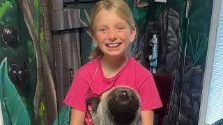Baby sloth cuddles
