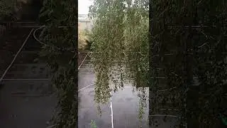 Дождь, Осень,Грусть!