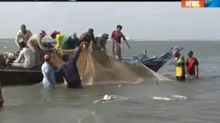 World Environment day   Report - Sindh TV News