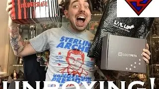 Loot Crate, Loot Wear & Loot Pets Anti-Hero Theme August 2016 Unboxing