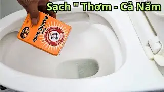 Bồn cầu luôn thơm mát, không có mùi hôi, chỉ cần cho thứ này vào 