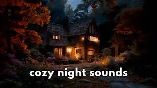 Autumn Night Ambience 🌙 Cozy Cottage in the Woods & Cricket Sounds 🍁
