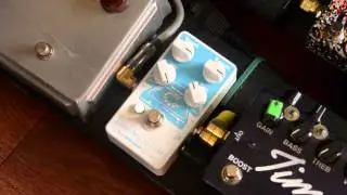 Earthquaker Devices - Dispatch Master (reverb + delay) demo