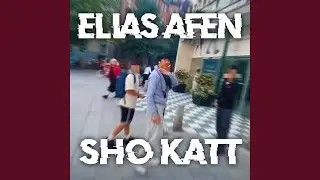 Sho katt