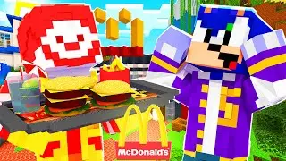 Baby Sonic Goes To McDonalds! | Minecraft Videogame School | [7]