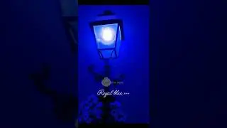Royal blue aesthetic✨🎀~#music#theneighbourhoodsweaterweatherlyrics#song#audio#guitar #lyrics #edits