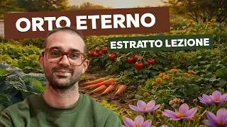 ESTRATTO - Lezione LIVE 