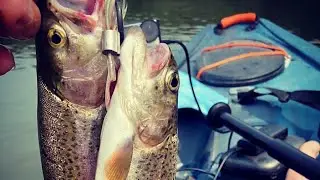 KAYAK FISHING THE UPPER IOWA RIVER!!! Walleye and Trout in the Same Place!