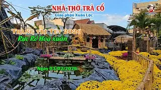 NHÀ THỜ TRÀ CỔ - TRANG TRÍ TẾT 2026 - RỰC RỠ HOA XUÂN