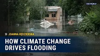 Floods in CEE: How Climate Change Could be Causing Weather Anomalies | Joanna Kędzierska